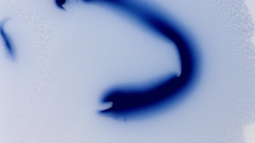 Different colors of a paintlike liquid mix and swirl together