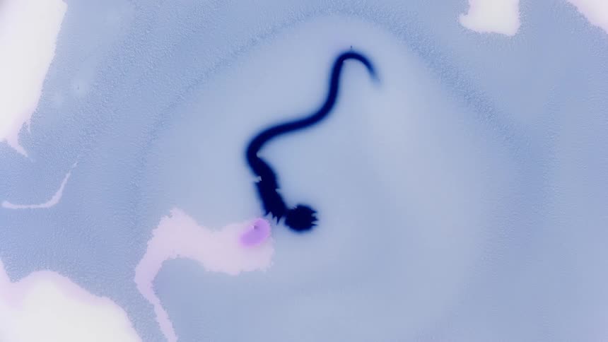 A blue string of paint swirls around the middle of a large puddle of lighter blue and white paint