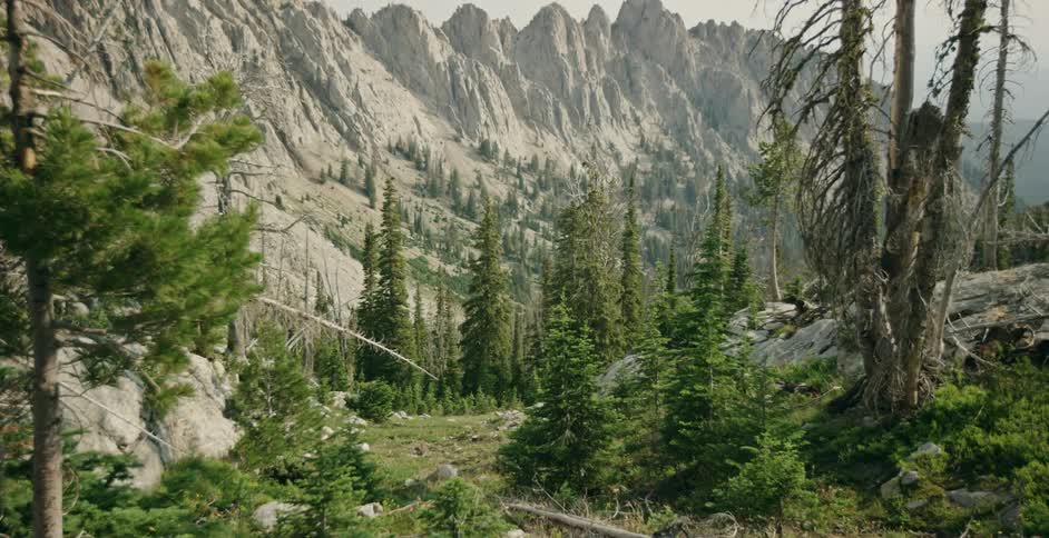 Landscape of mountain ranges and valley forest