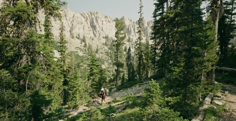 A hiker makes his way along a mountain trail past many tall trees