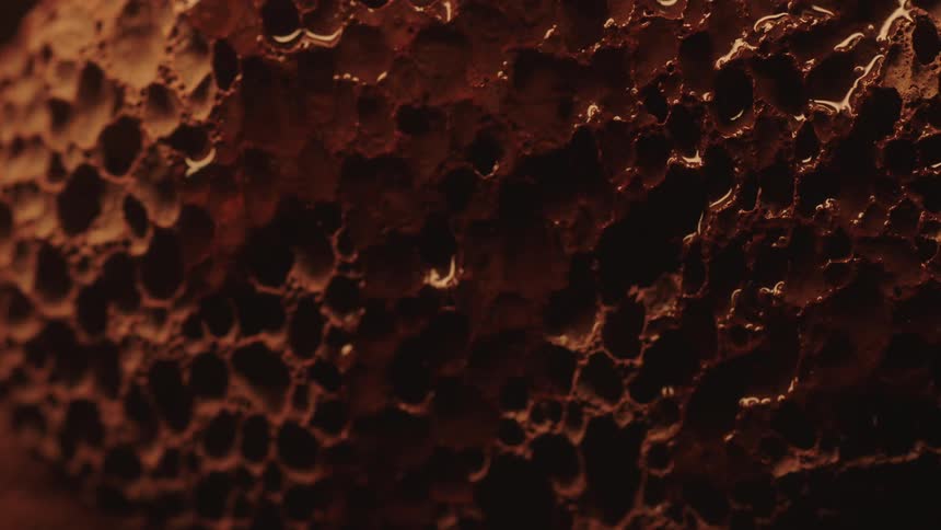 A brown porous surface with liquid on it is bathed in a dark shadow