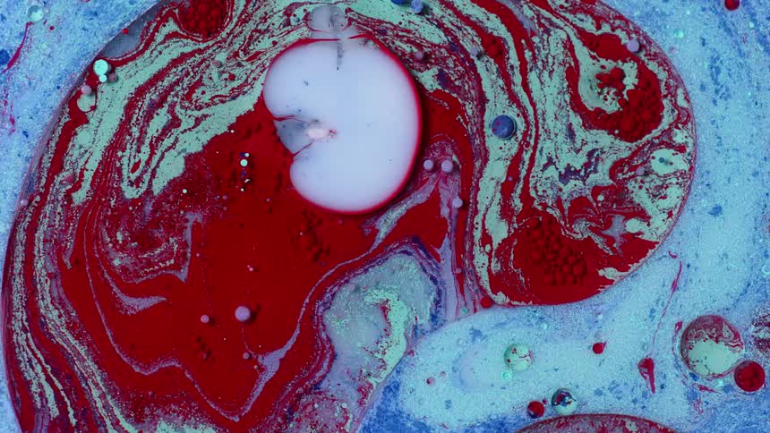A suspension of red and blue liquids are mixing and swirling together