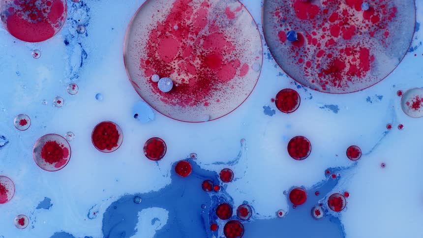 Close up of bubbles of red ink floating over the surface made of blue ink