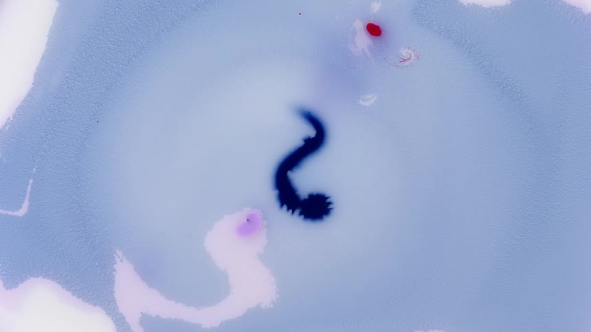 Blue red and white paint swirling around