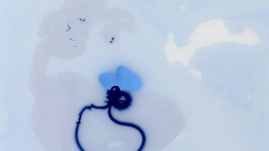 Different shades of blue paint form a large opaque puddle mixed with lots of white paint