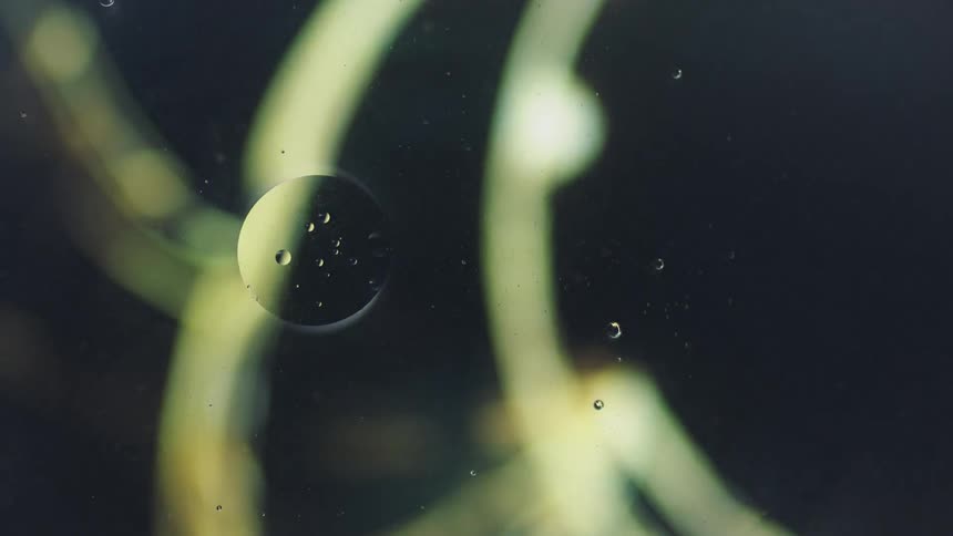 A spherical droplet is suspended in liquid as the lighting changes around it