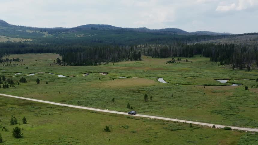 A person is driving a car through a wilderness area