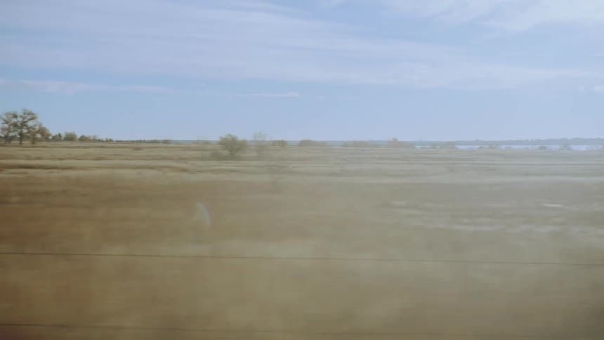 A flat grassland with burnt plants and gangly trees with a barbed wire fence in the front