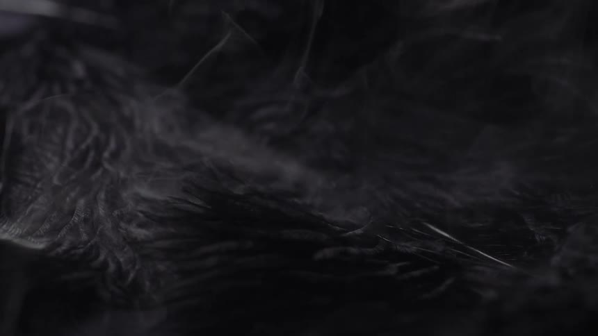 Smoke plays over a close up of a black birds feathers