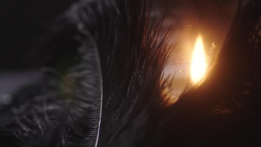 A flame flickers behind a transparent membrane surrounded by feathery material