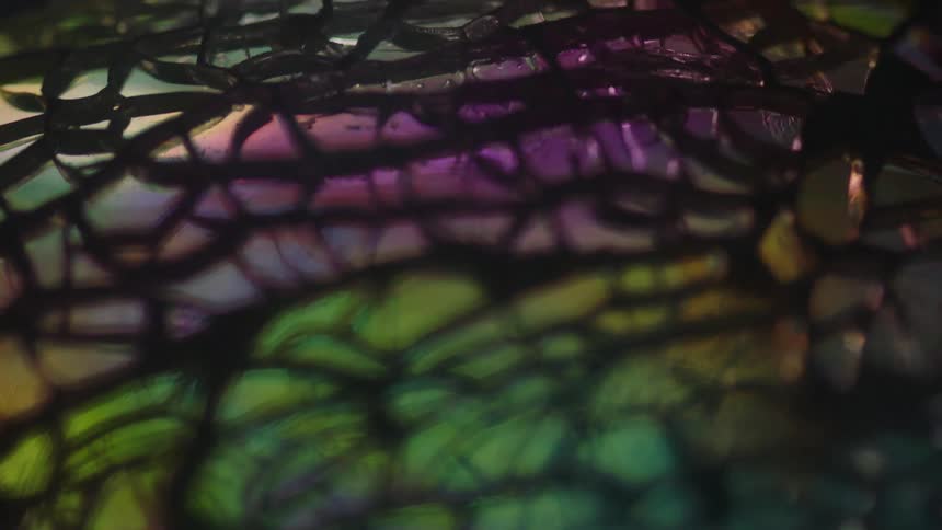 Abstract closeup of shattered mirror reflecting many colors