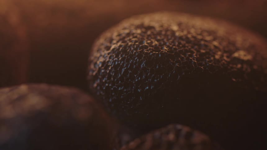 Area brightens to show textured brown nuggets before darkening again