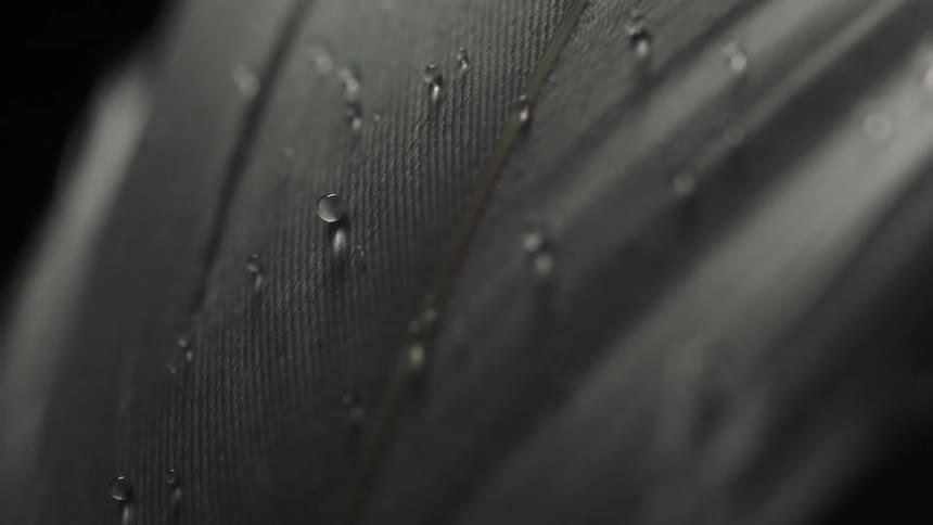 Water drops sit on surface of textured gray surface