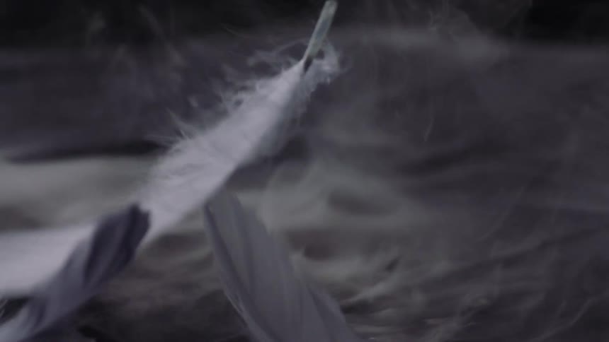 Close up of white feathers falling over a black surface agitating white smoke