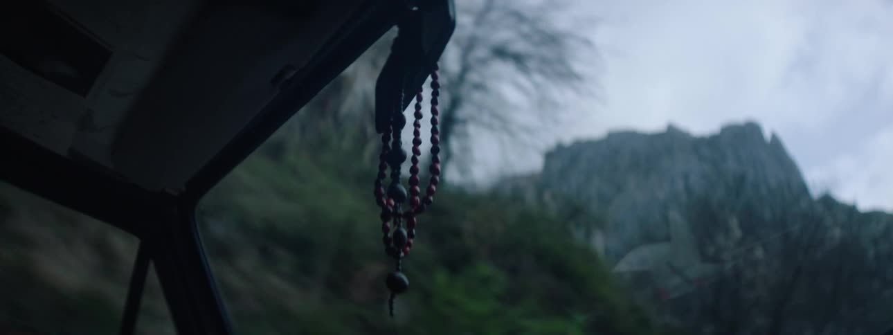 A person is driving a vehicle through the wilderness