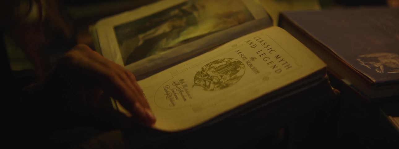 A man reads a classic novel