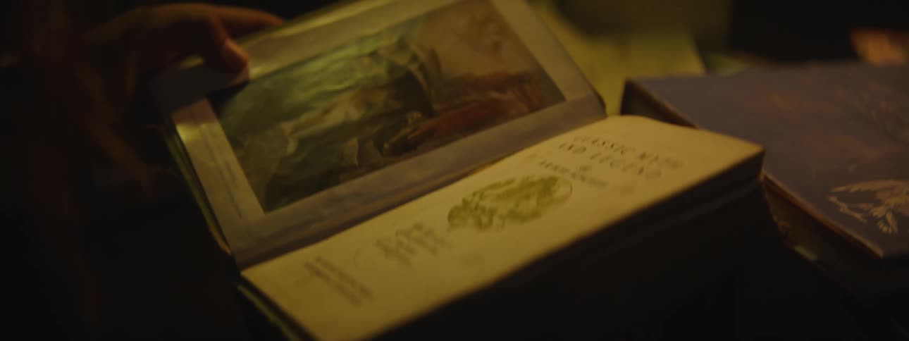 Close up view of a person reading a book is displayed