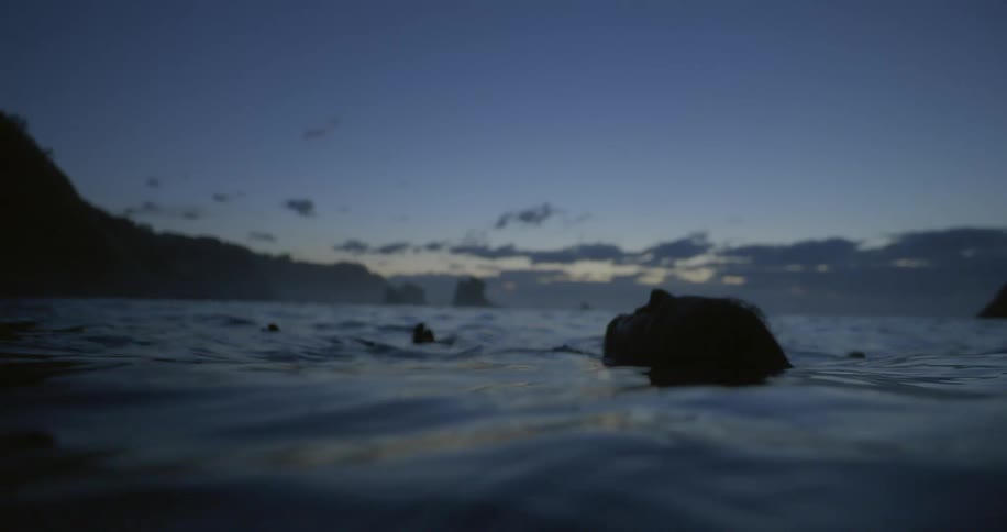 A man is floating in the body of water at dusk
