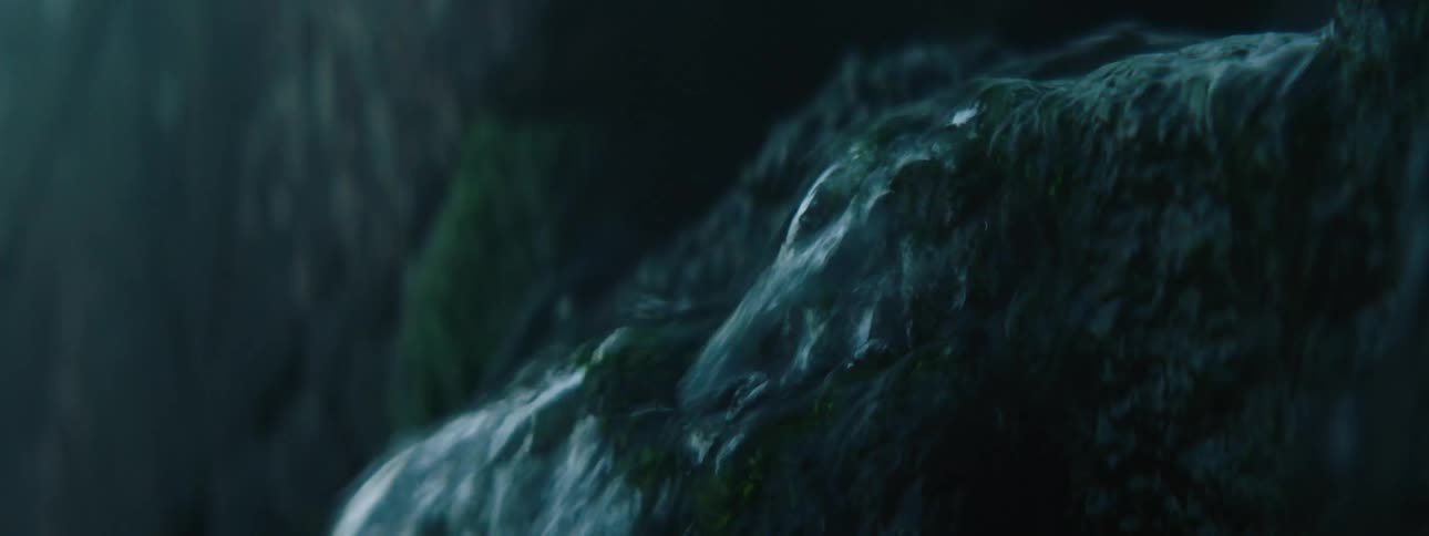 Extreme close up of a small stream running down the moss covered rocks at morning