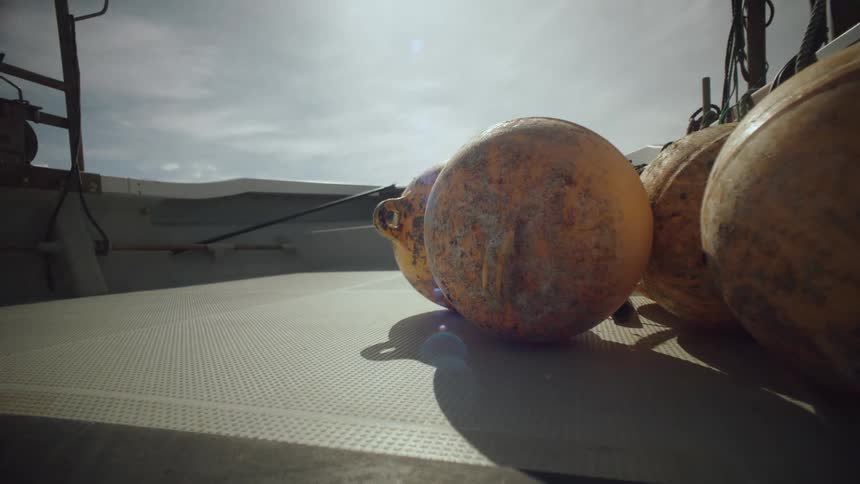 Round buoys on the deck of a boat swaying back and forth