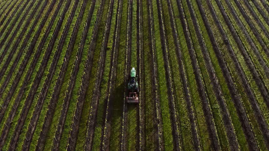 A tractor is harvesting crops at a farm
