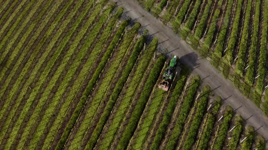 A farming tractor is harvesting crops during the daytime