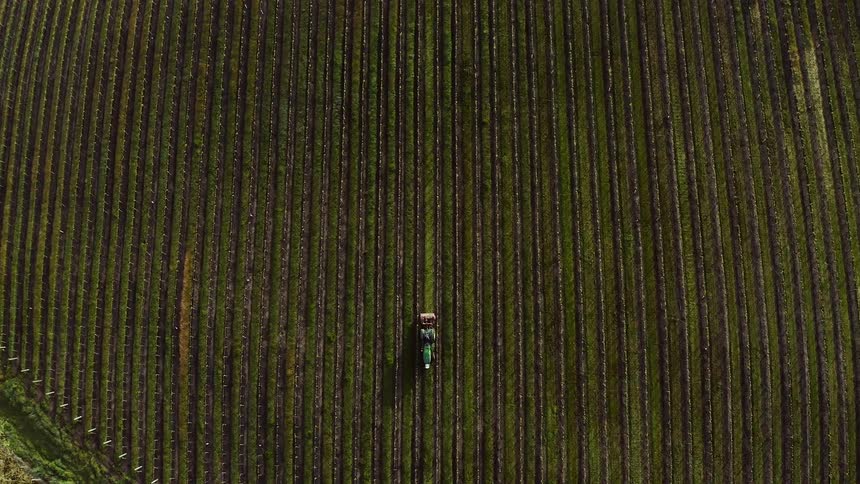 An aerial of a tractor driving through a crop field