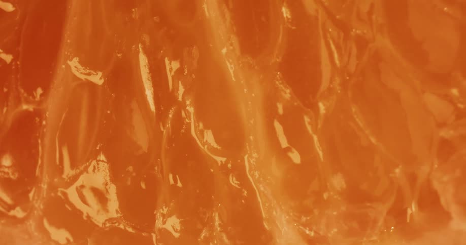 Close up view of the inside of an orange fruit