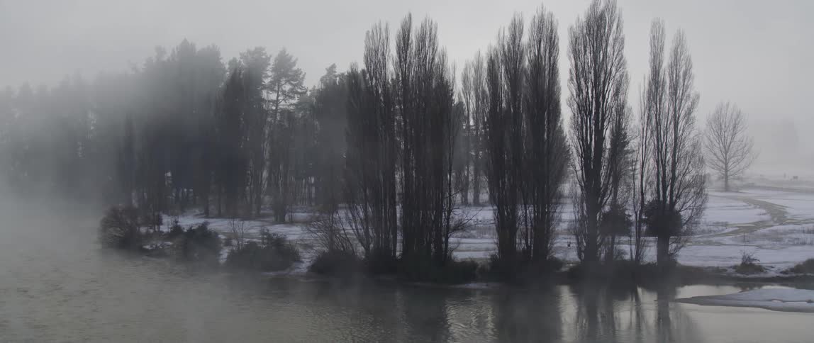 Cars pass in the background of a winter scene with trees snow and a river