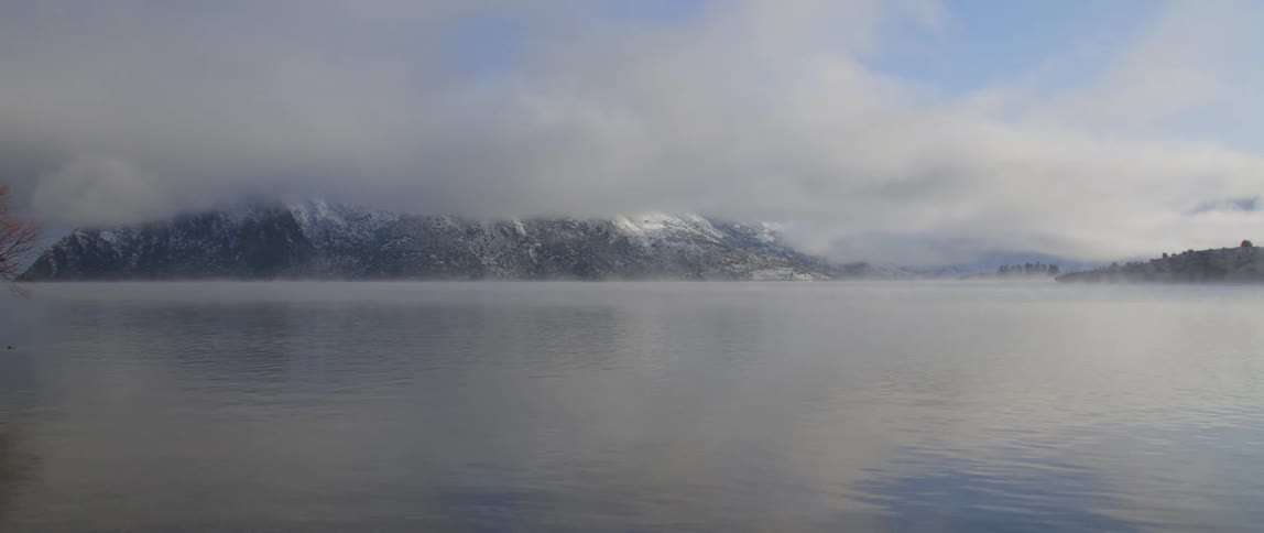 Fog is covering the body of water during the day time