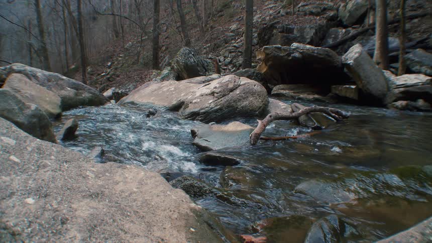 Landscape of river flowing in the forest