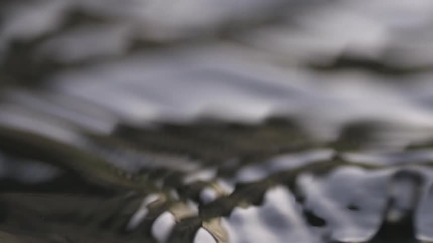 Closeup of body of water rippling