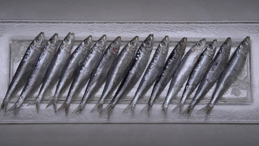 A row of fish are on the plate