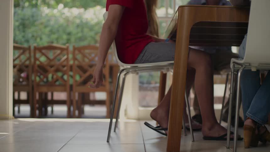Girl with red t shirt shorts and flip flops sits in chair and feeds black and white dog