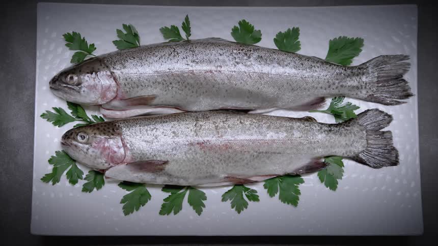 A shot of two salmon on a plate