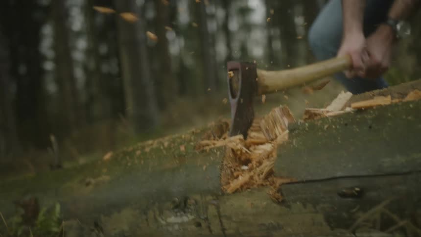A man using an axe to chop a down log in the forest