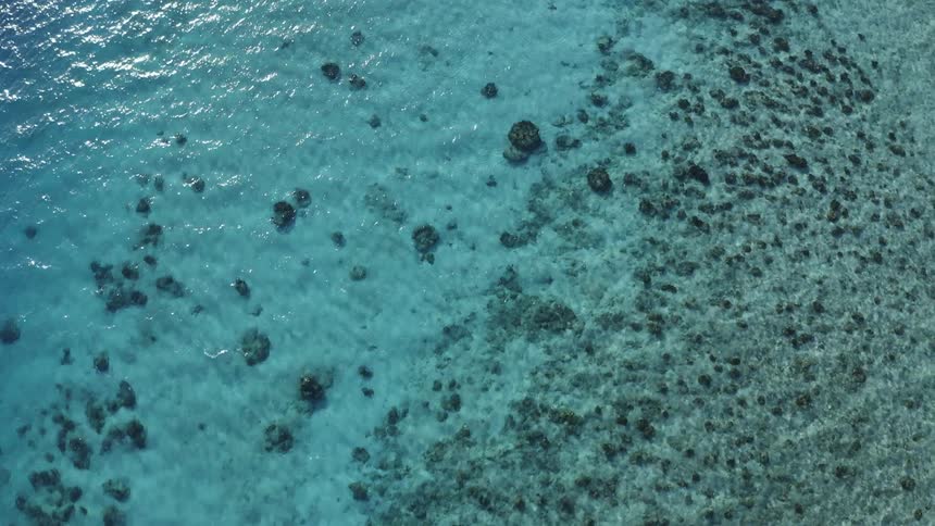 Aerial view moving across calm green ocean in shallow water with visible seaweed white sand and coral
