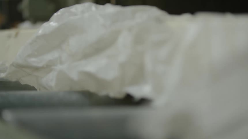 Plywood moving down a conveyor belt