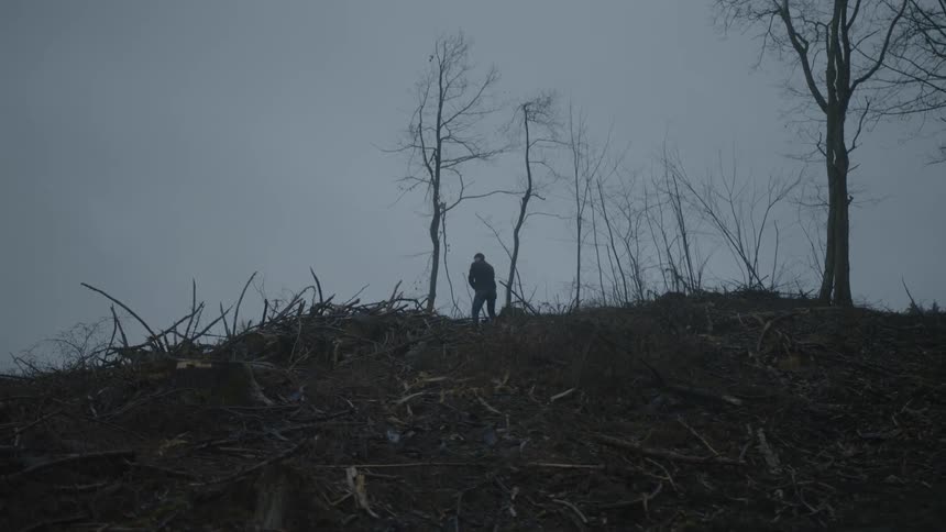 A man up on a hill using an axe to chop trees