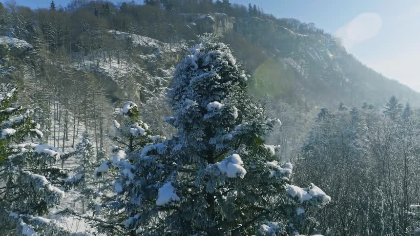 Aerial View of Winter Landscape in Daytime