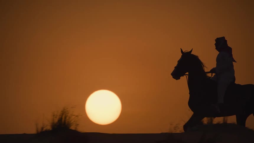 Silhouette of a person riding a horse at dusk