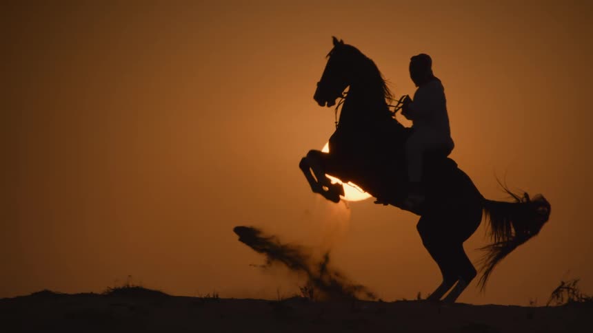 The view is of someone riding a horse in the day time