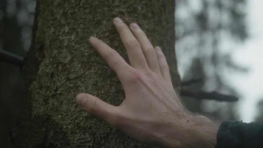 Man in forest reaches out to touch tree trunk