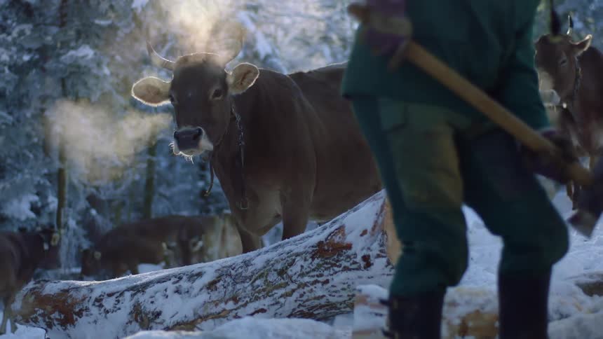 Winter Wood Chopping: Man, Ax, Snow, Cows in Background