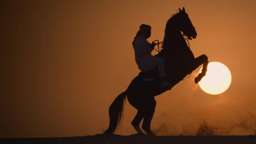 A silhouette of a man on a horse making it jump against a sunset sky