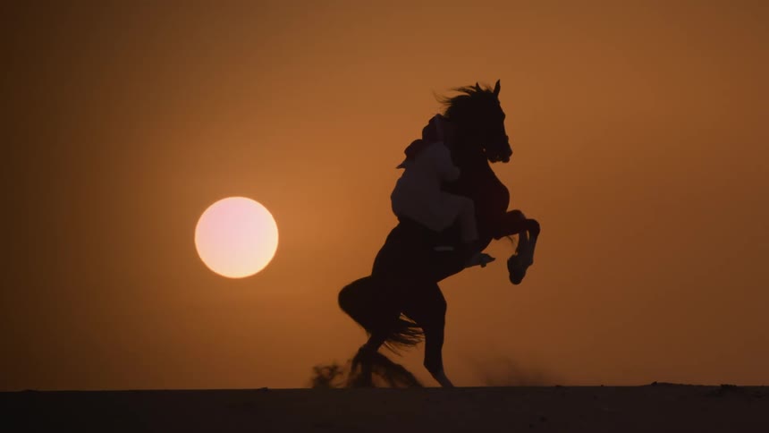 Silhouette of a woman riding a horse and she holds on tight when the horse stands on its back legs as the sun is setting in an orange sky