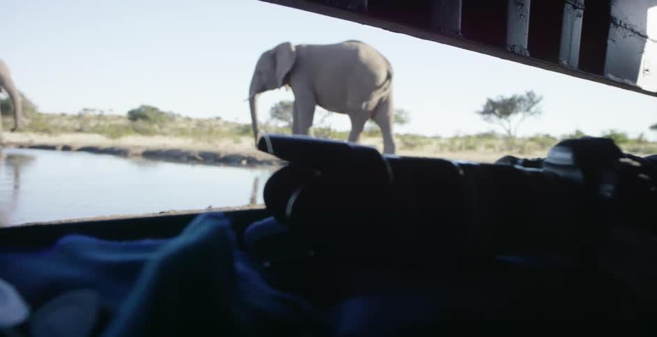 Elderly man looking out towards two elephants from his hiding spot