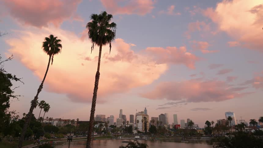 An aerial view of palm trees around a body of water with a city skyline in the background
