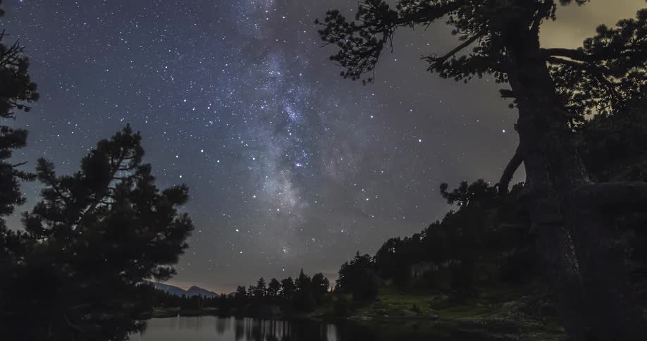 The sky is filled with stars over the river