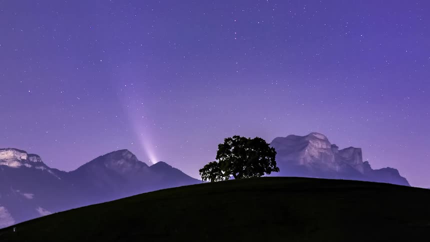 A single tree is before the mountain